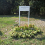 DSCN0013